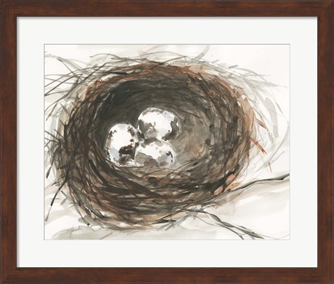 Framed Nesting Eggs III Print