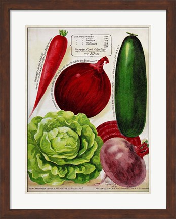 Framed Antique Seed Packets XI Print