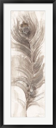 Framed Neutral Eyed Feathers II Print