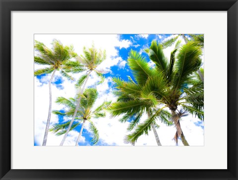 Framed Hawaii Oahu Palms Print