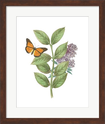 Framed Greenery Butterflies III Print