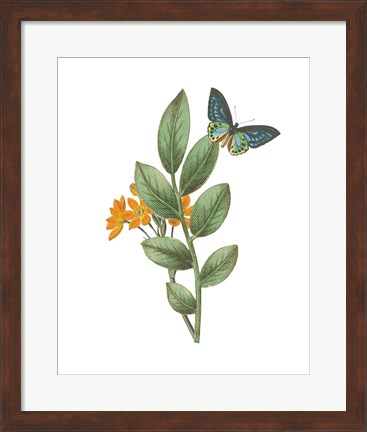 Framed Greenery Butterflies I Print