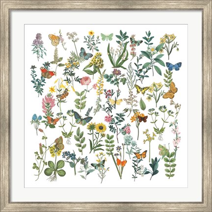 Framed Flowers and Butterflies Print