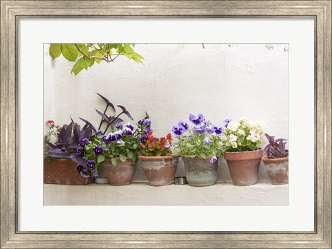 Framed Attractive Flowers In Clay Pots Print