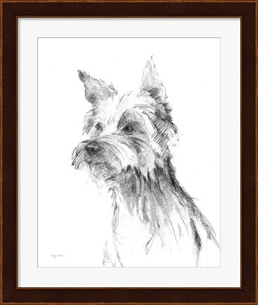 Framed Yorkshire Terrier Sketch Print