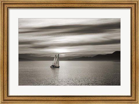 Framed Set Sails Print