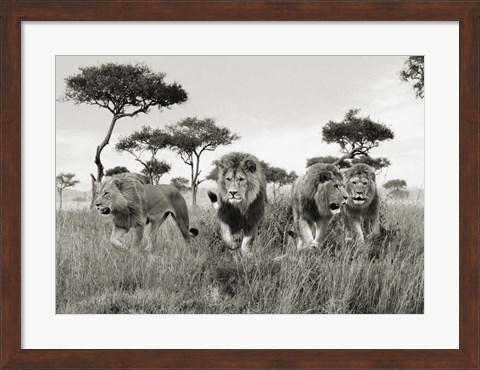 Framed Brothers, Masai Mara, Kenya Print