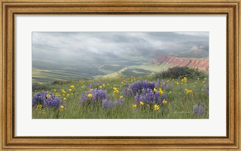 Framed Misty Valley II Print