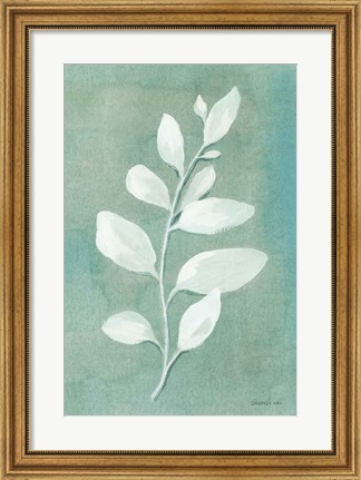 Framed Sage Leaves I Print