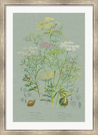 Framed Flowering Plants II Green Linen Print