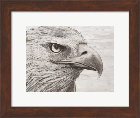 Framed Eagle landscape Print