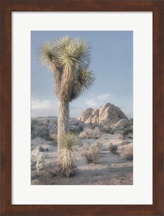 Framed Joshua Tree National Park I Print