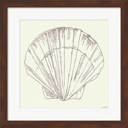 Framed Coastal Breeze Shell Sketches V Silver Print