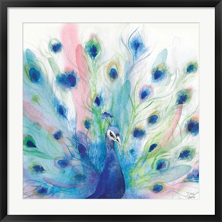 Framed Peacock Glory IV Print