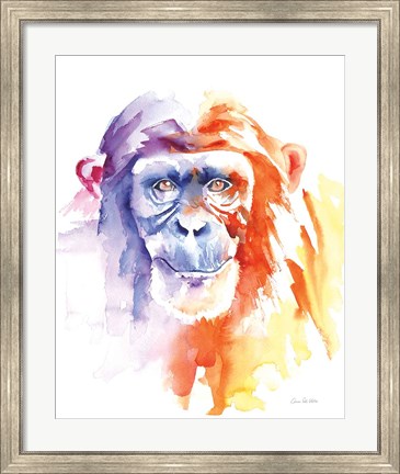Framed Chimpanzee II Print