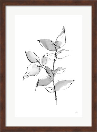 Framed Wash Leaf II Print