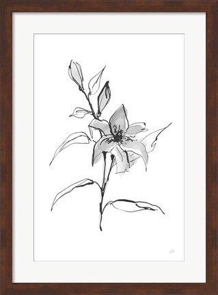 Framed Wash Tiger Lily Print