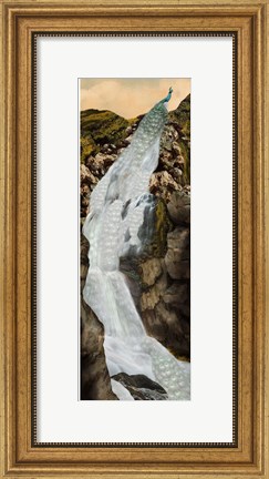 Framed Peacock Falls Print
