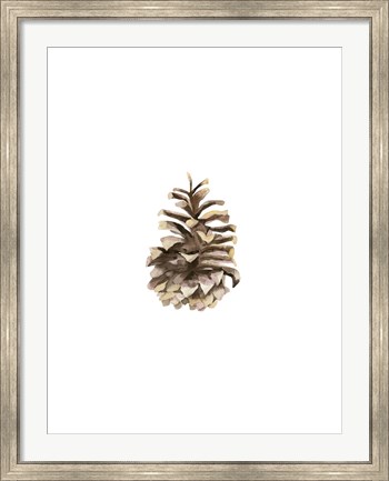 Framed Pine Cone II Print
