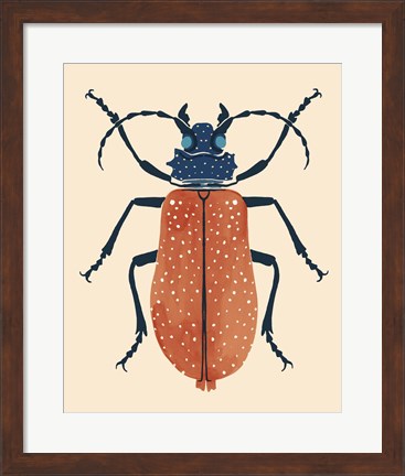 Framed Beetle Bug III Print