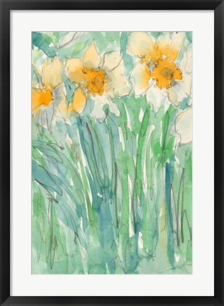 Framed Daffodils Stems I Print