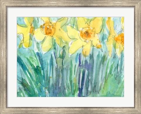 Framed Daffodil Blooms I Print