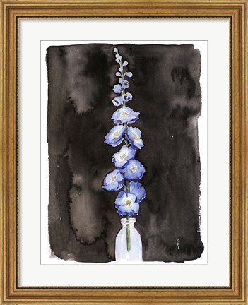 Framed Blue Delphinium II Print