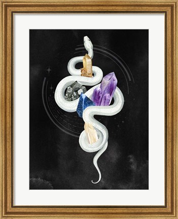 Framed Crystalline Serpent II Print