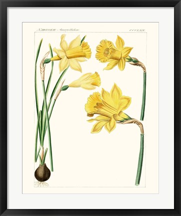 Framed Bright Botanicals I Print