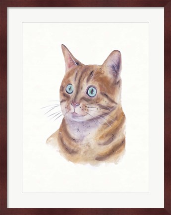 Framed Orange Cat II Print