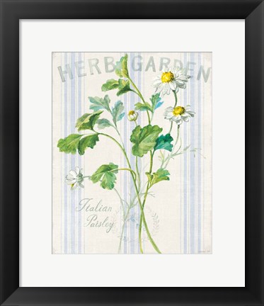 Framed Floursack Herbs II Print