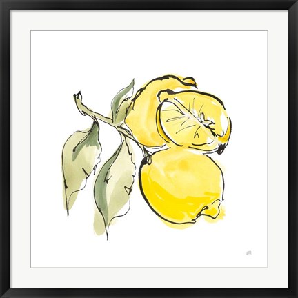 Framed Lemon Still Life II Print