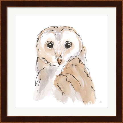 Framed Barn Owl II Print