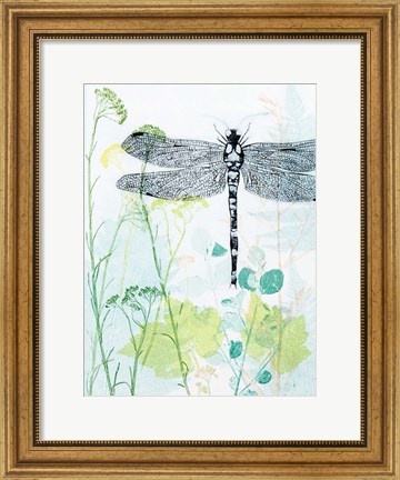Framed Dragonfly And The Healing Plant Print