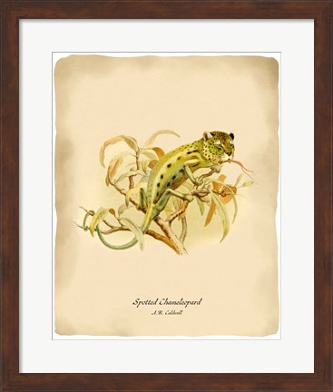 Framed Chameleopard Print