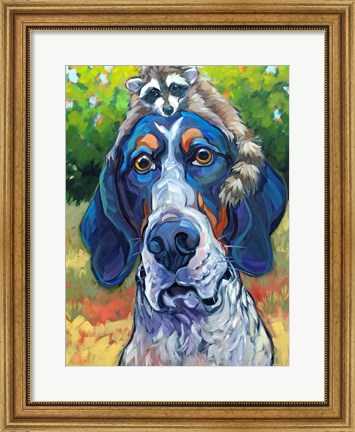 Framed Coonhound Print