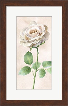 Framed Ivory Roses Panel I Print