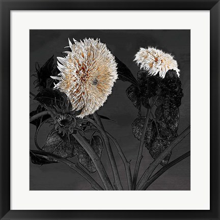 Framed Sunflowers I Print