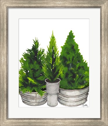 Framed Evergreens in Galvanized Tins Print