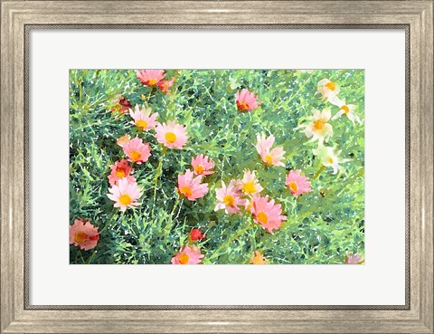 Framed Daisy Field I Print