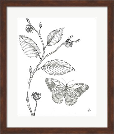 Framed Outdoor Beauties Butterfly I Print