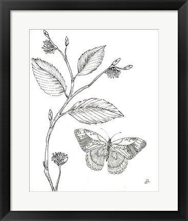 Framed Outdoor Beauties Butterfly I Print