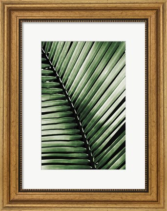 Framed Palm Frond I Green Print