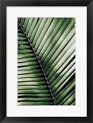 Framed Palm Frond I Green Print