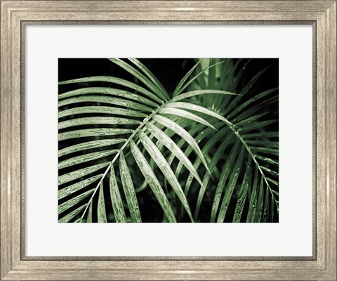 Framed Palm Fronds Green Print