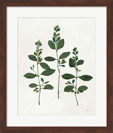 Framed Botanical Study IV Greenery Print