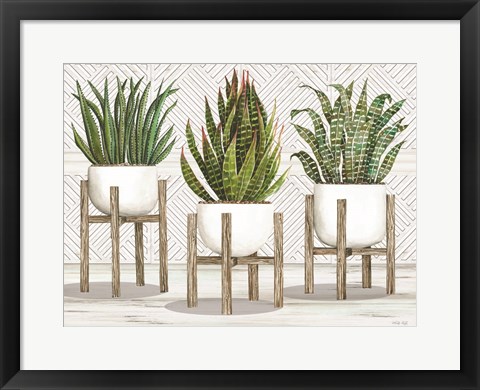Framed Succulent Trio on Stands Print