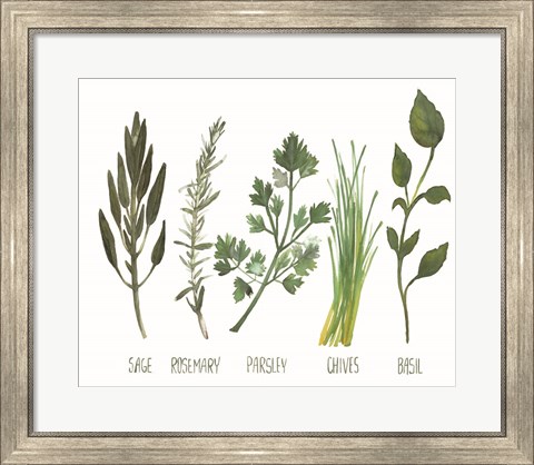 Framed Watercolor Herbs Print