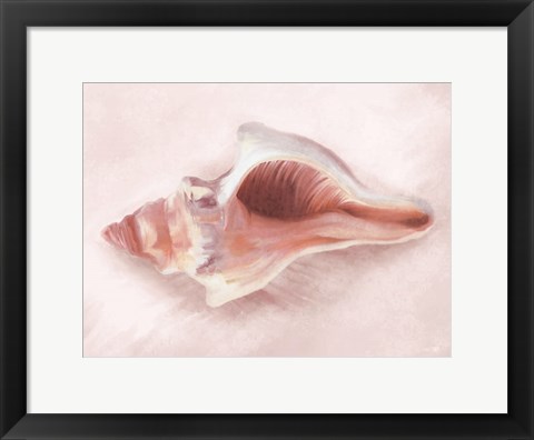 Framed Conch Shell Blush II Print