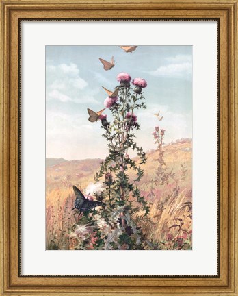 Framed Meadow Butterflies Print
